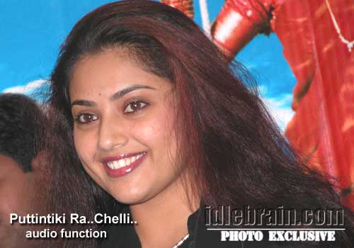 Telugu Cinema audio launch - Puttintiki Raa Chelli - <b>Arjun, Meena</b>, ... - newpg-audio-puttintikira3