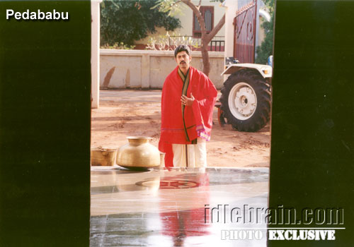 pedababu