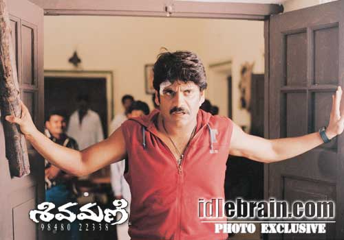 nagarjuna