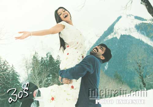 venky