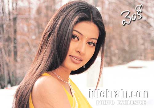 venky