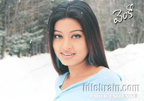 venky