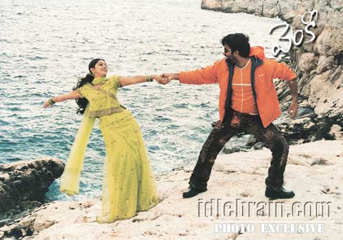 venky