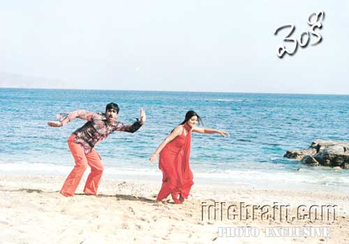 venky