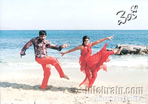 venky