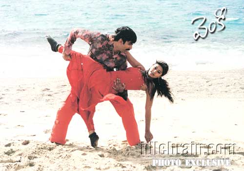 venky