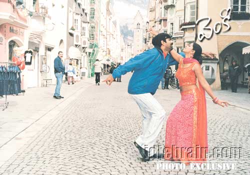 venky