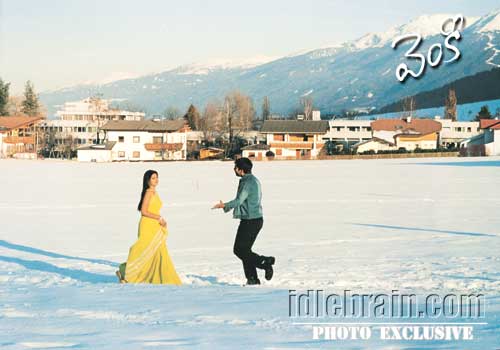 venky