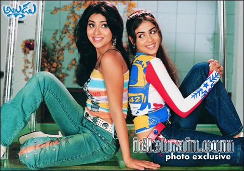 naa alludu