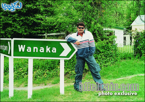 naa alludu