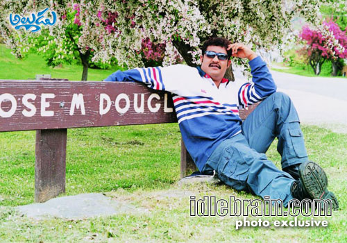 naa alludu