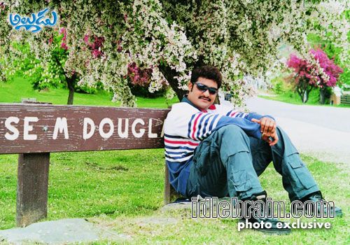 naa alludu