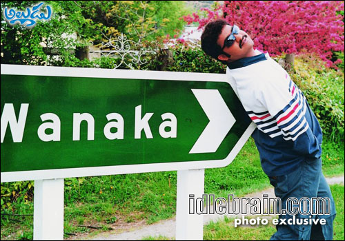 naa alludu