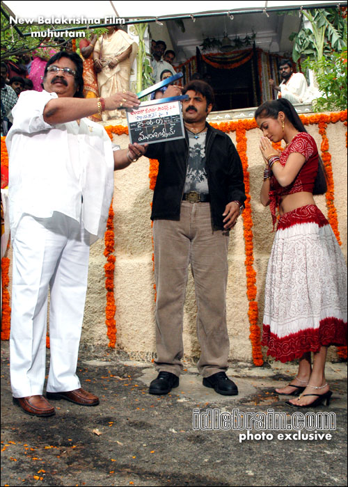 Bala Krishna film