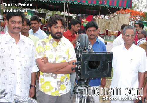 That is pandu