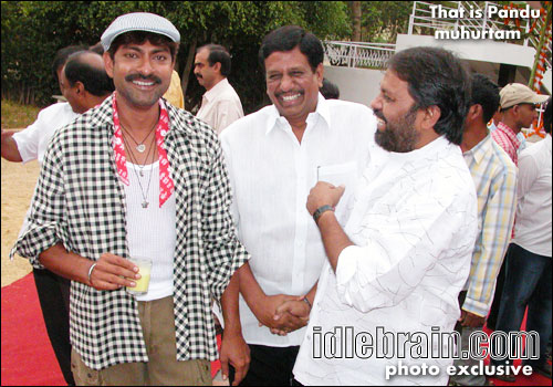 That is pandu