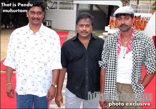 That is pandu