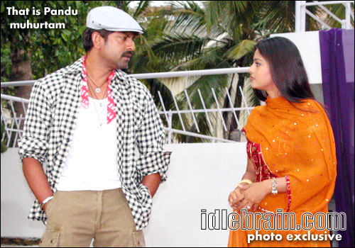 That is pandu