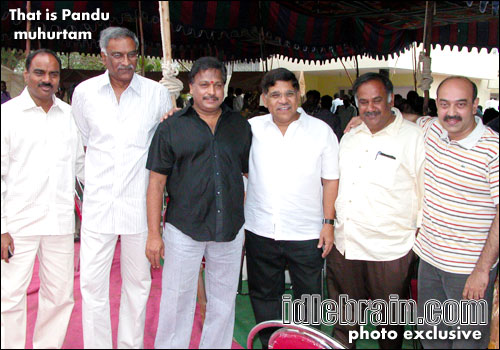 That is pandu