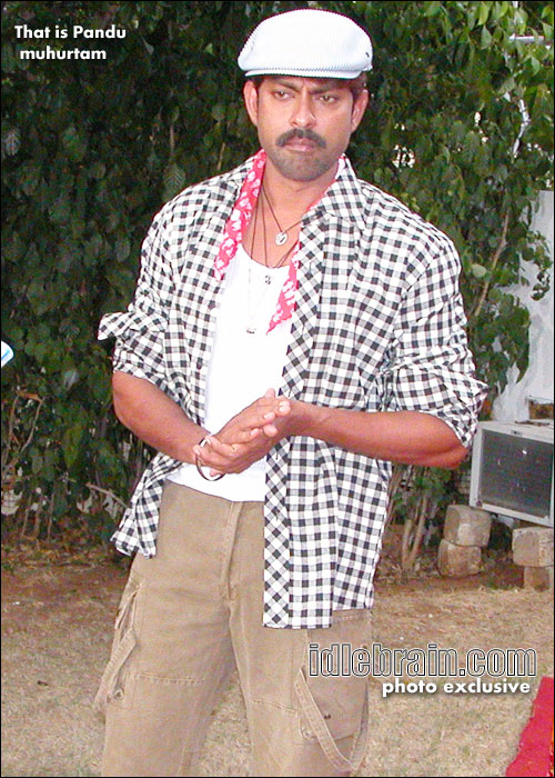 That is pandu