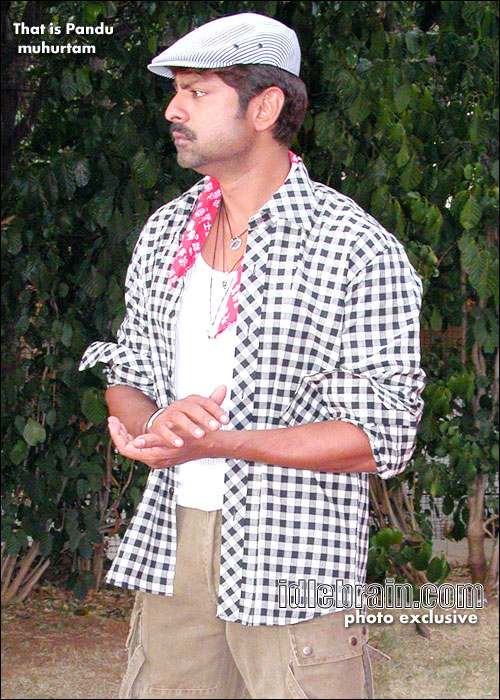 That is pandu