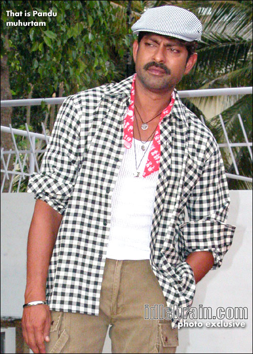 That is pandu