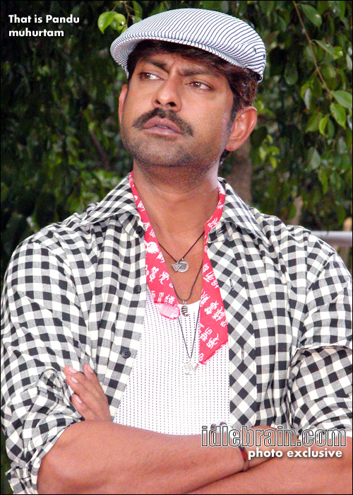 That is pandu