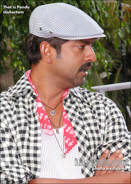 That is pandu