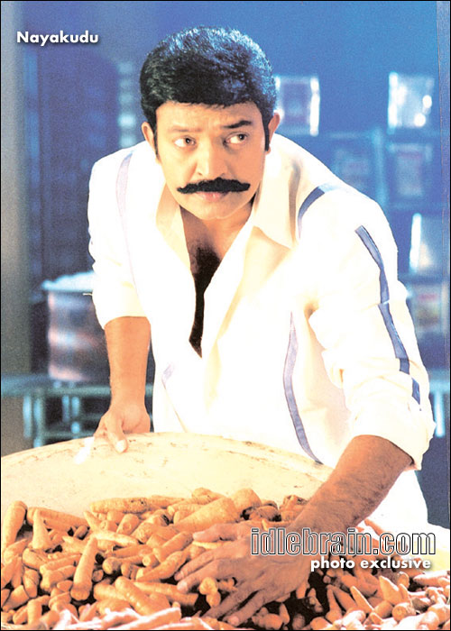 Nayakudu