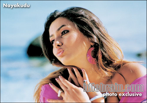 Nayakudu