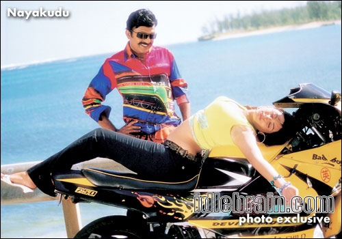 Nayakudu