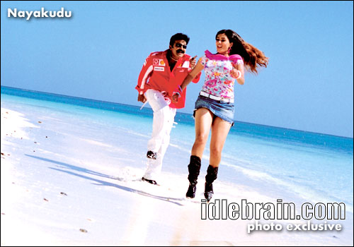 Nayakudu