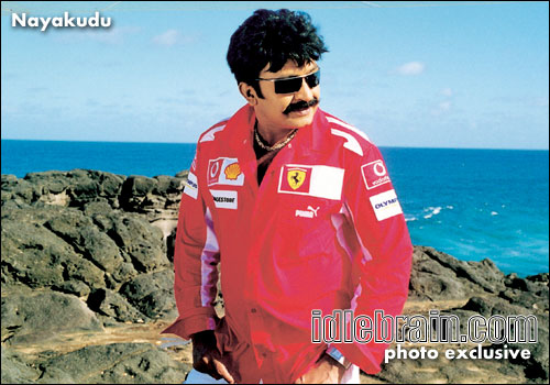 Nayakudu