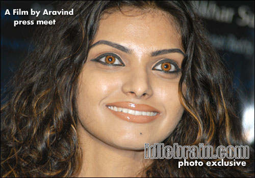 a film by aravind