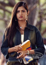 sindhu tolani