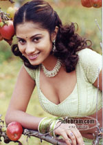 sindhu tolani