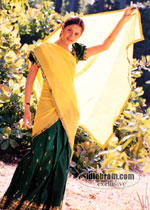sindhu tolani