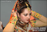 ... a Dance Ballet performance on &quot;Amrapaali&quot; was given by Mrs.Jayaprada Nahata, a popular cine actress at Agra Fort, Agra on 26.9.2005 on the evening. - thumb-jayaprada