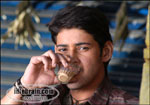 Pokiri