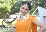 srikrishna 2006