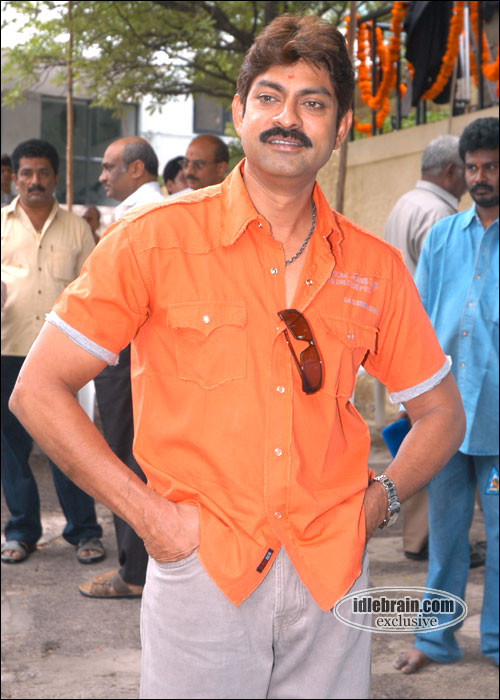 pellaina kothalo