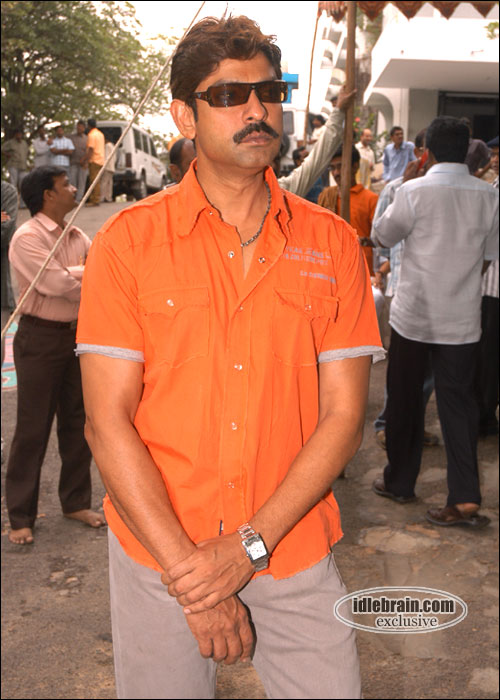 pellaina kothalo