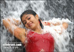 POonam Bajwa