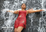 POonam Bajwa