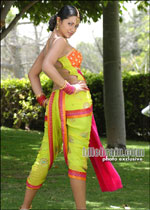 Trisha (from Allari Bullodu)