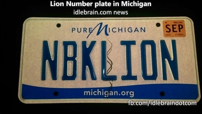 lion-numberplate-michigan.jpg