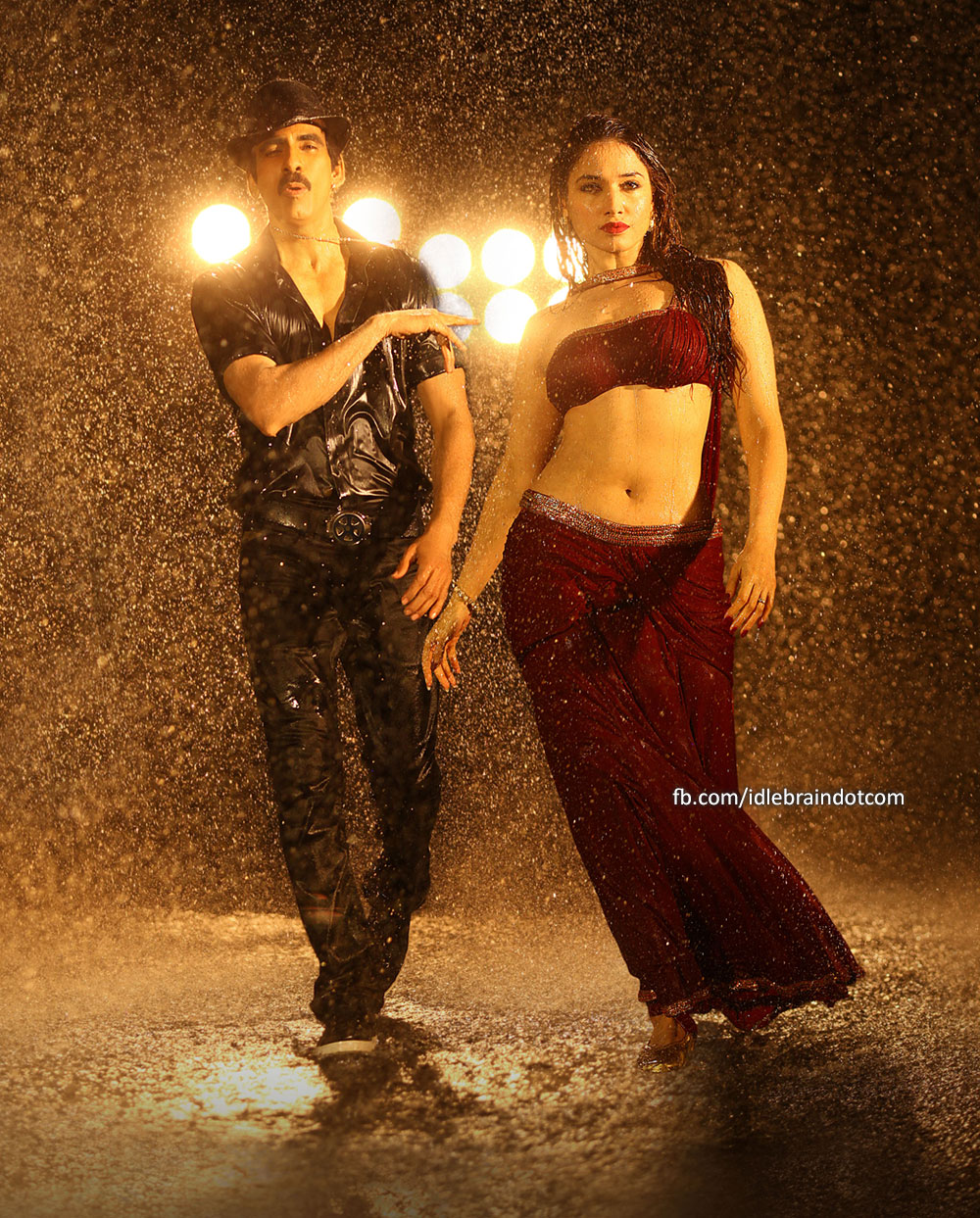 stills-bengaltiger3.jpg