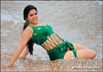 Charmme Charmy