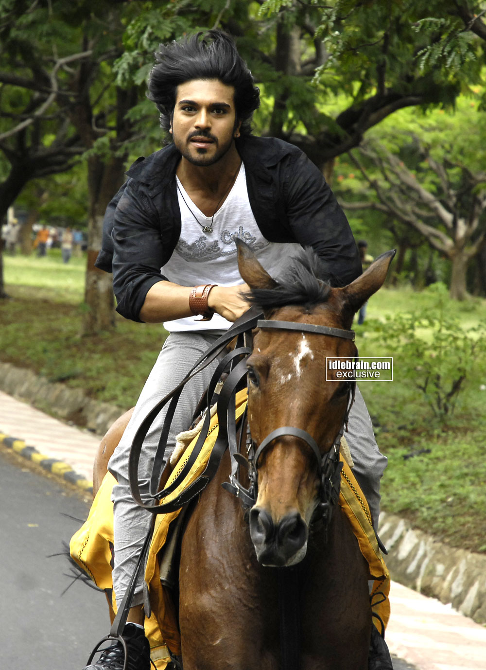 magadheera20.jpg