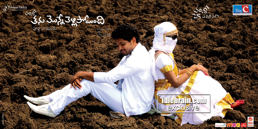posters-tanumonnevellipoyindi18.jpg